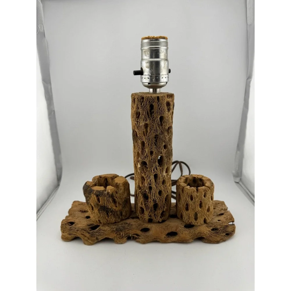 Cholla Cactus Lamp Rustic Desert‎ Decor Table Lamp Unique Accent Lighting